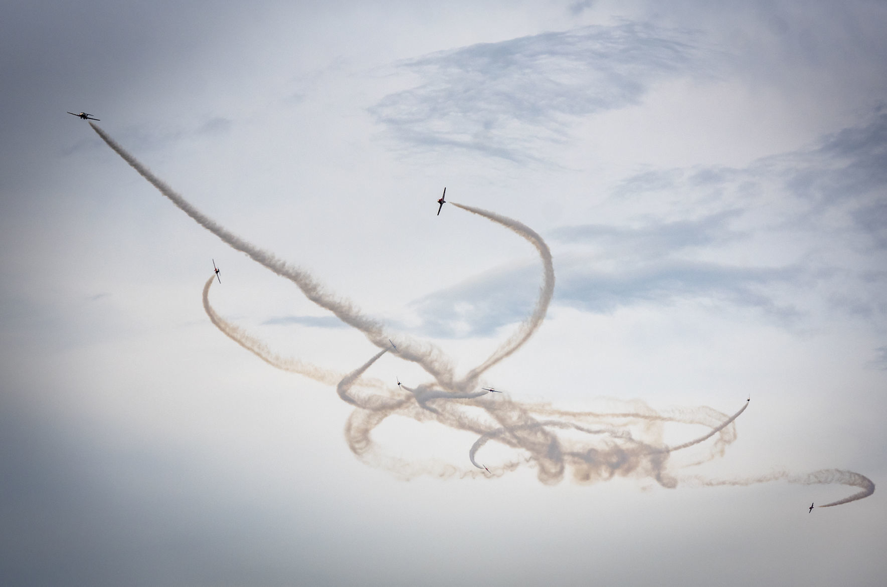 Snowbirds
